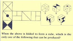 AEIS考试SM1/SM2向性测试 QT智商考试练习题库