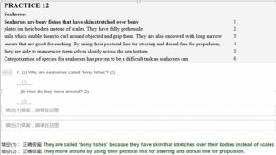 新加坡英语阅读练习题库（二） 补充1